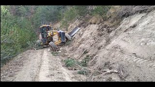 Cat 140M Orman Canavari Forest Monster