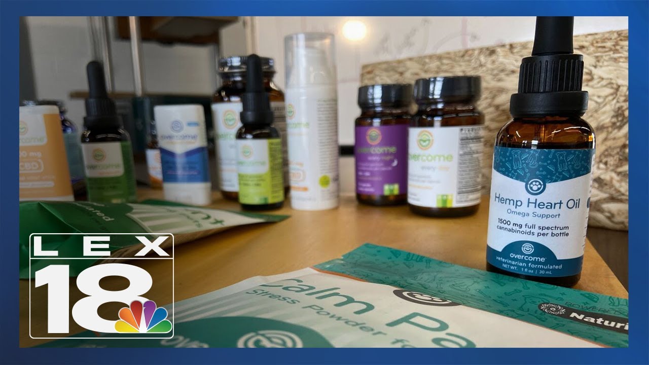 'CannaBuzz' brings new buzz to Lexington's distillery district on 4/20