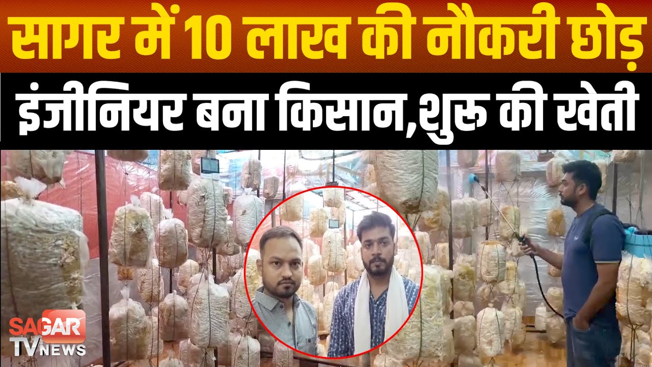 Sagar- 10 लाख की नौकरी छोड़कर इंजीनियर बना किसान, ऑटोमेशन सिस्टम से उगा रहा विदेशी मशरूम