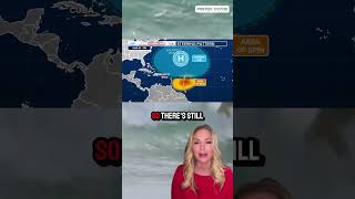 Buzz in the Atlantic
