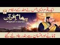 Watch pegam e quran Online In HD