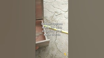 The nest box design we are using for the Trichoglossus family (the rainbow Lorikeet series)