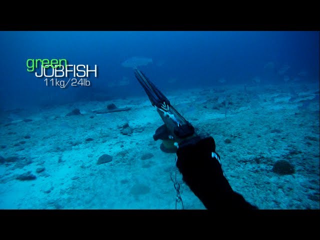 Spearfishing – Stoning a 11kg Green Jobfish