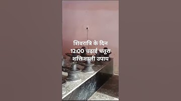 महाशिवरात्रि रात 12:00 एक धतूरा चढ़ाई जो आपकी सारी मनोकामना पूरी होगी #pradeepmishrakeupay #