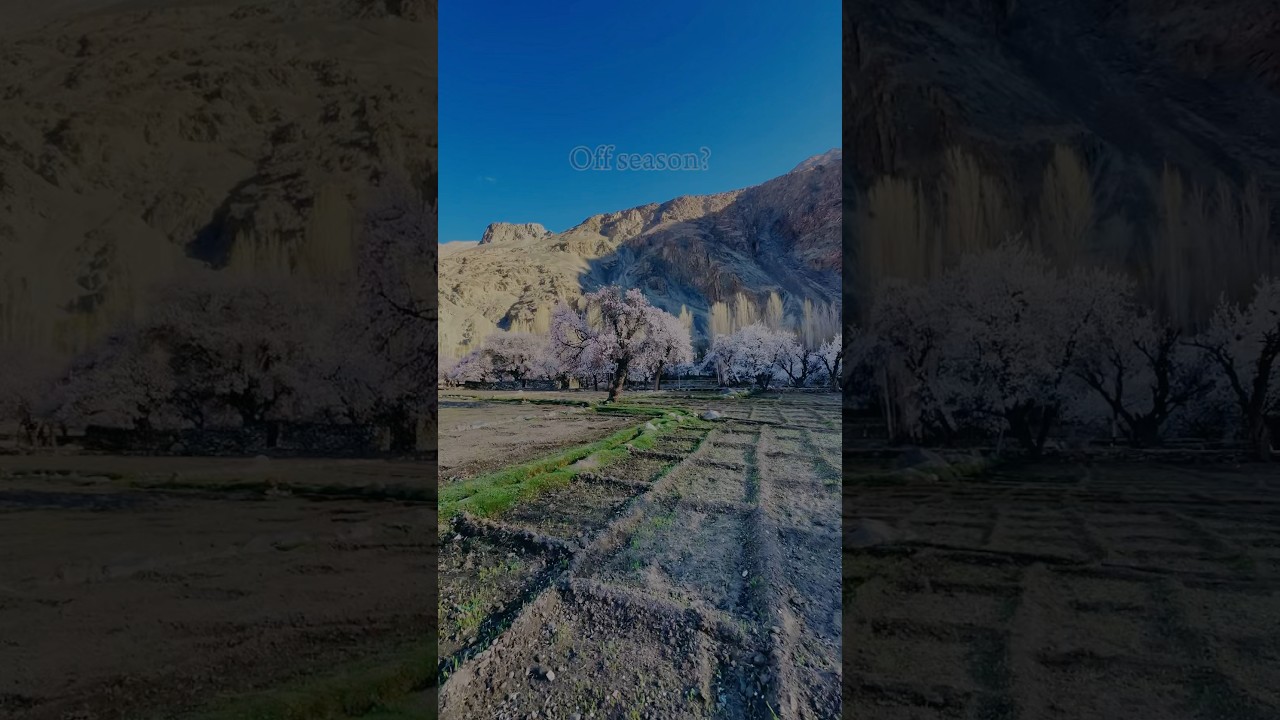 Summer 🌸#shorts #travel #youtubeshorts #ladakhtrip #tourism #nature #trending