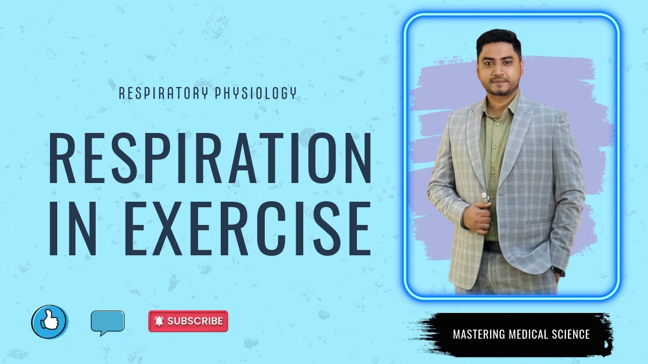 Respiration in Exercise Respiratory Physiology বাংলা Bangla