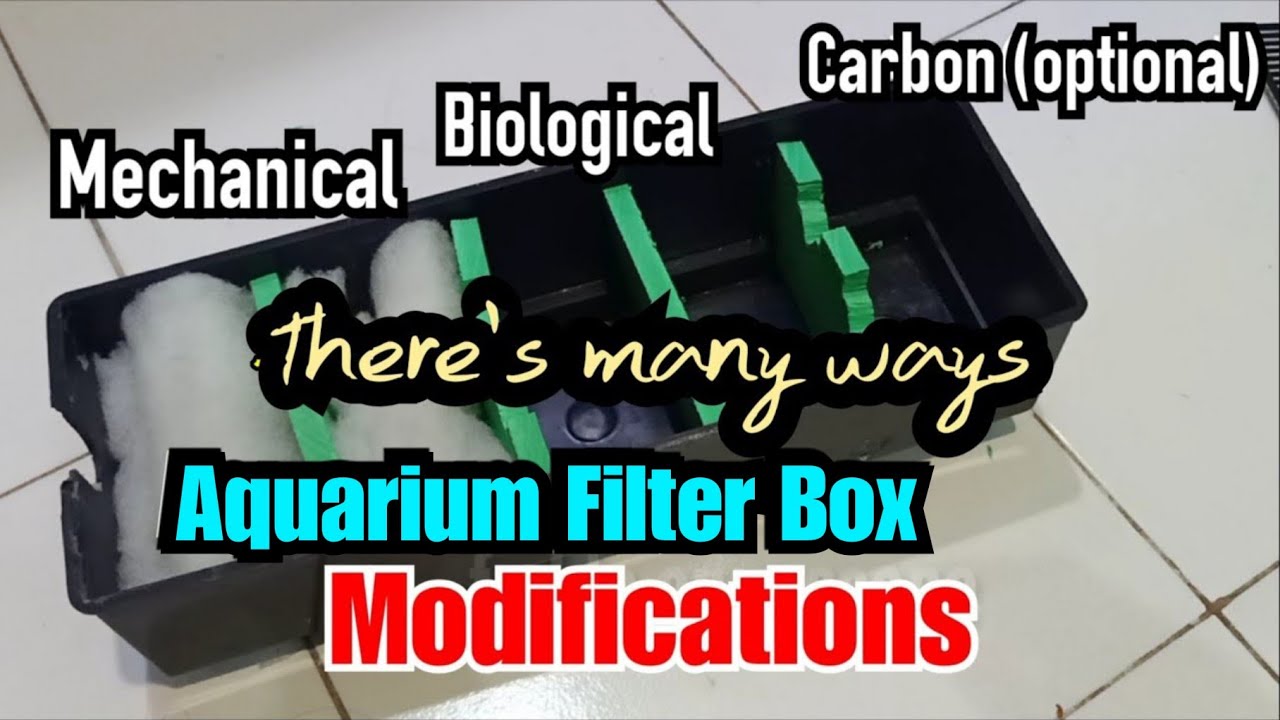 Aquarium Filter Box Modifications Illustration Mechanical Biological Carbon If Necessary Youtube
