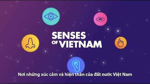 Red Cat Motion: Vietnam Creative Festival Promo Video