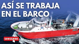 Download Lagu Pesca y procesado de merluza | boat tour | trawl fish MP3
