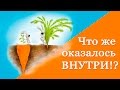 Зарабатываем на &quot;Ctrl C+ctr V&quot;. Что внутри?!