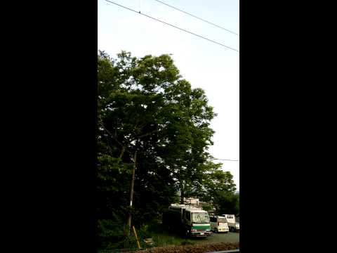 夕方6時のチャイム・若者のすべて/2015年7月10日