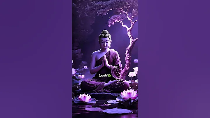 BUDDHA'S TEACHINGS. #buddhism #motivation #learnontiktok #kiemtienonline #zbizworld #life lessons