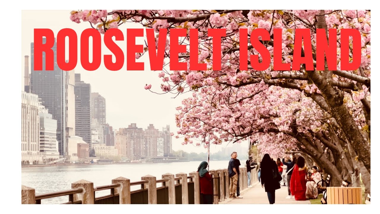 New York 2023 Cherry Blossoms Walking, Roosevelt Island,Queens,NY,April 15 ,619pm YouTube