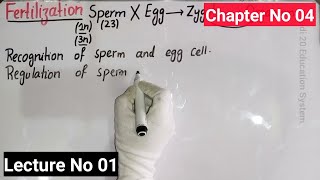 Introduction To Fertilization  Lecture No 01  Developmental Biology  Bs Zoology  Chapter No 04