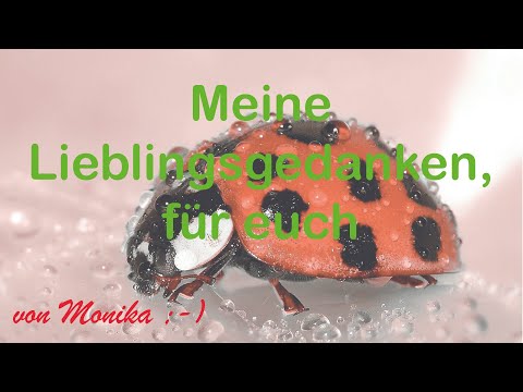 Meine Lieblingsgedanken, für euch (von Moniker ;-))
