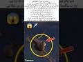"JF-17 تھنڈر کی طاقت دیکھ کر دنیا دنگ! جدید ٹیکنالوجی کا شاہکار"