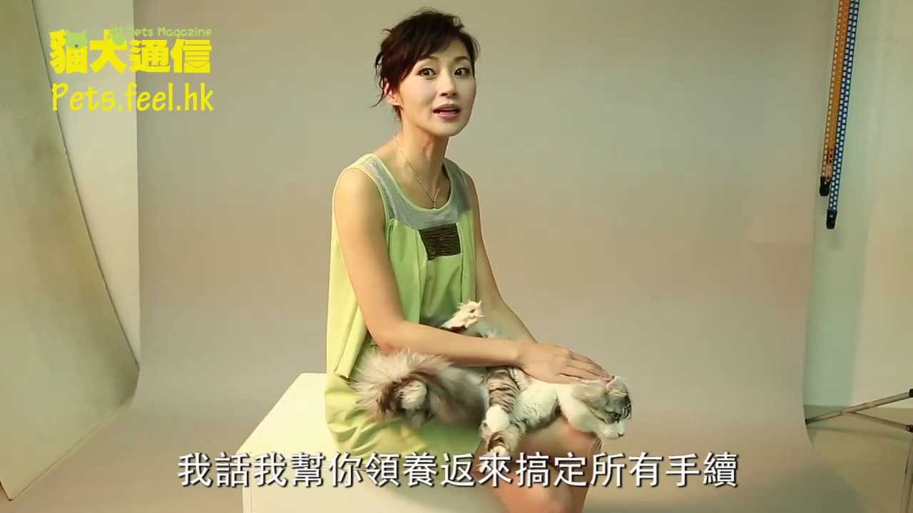 《貓犬通信》萬綺雯－當下．活在