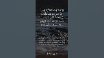 72 - 73 سورة البقرة: التلاوة المعبرة مع الترجمة الإنجليزية