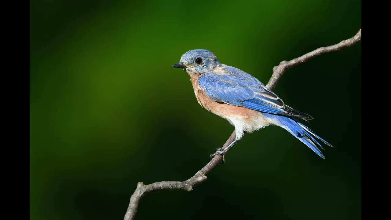 10. nap -Tudatos jelenlét és légzés összekapcsolása 