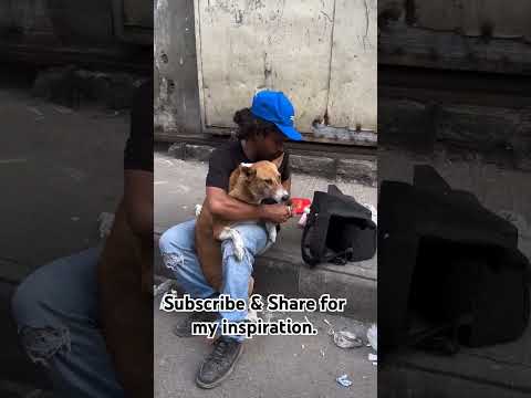 #StreetDogRescue #ViralVideo #DogCare