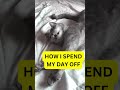 FUNNY ANIMAL VIDEOS #shorts