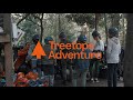 Treetops adventure belgrave