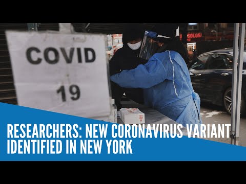 Researchers: New coronavirus variant identified in New York