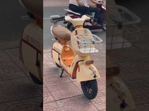 Xe điện DYLEXE K2