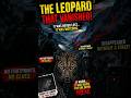 🐆 The Leopard That Vanished in the Valley… No Tracks. No Sound. Nothing. 😱