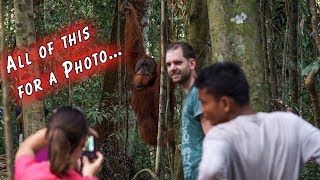 F*ck the Orangutans
