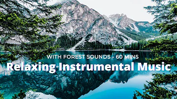 60 minutes of relaxing/soothing once upon a time music, Instrumental anxiety stress relief nature