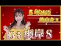 【G3 根岸ステークス2025】4年連続的中の得意レース‼️フェブラリーSに向けた前哨戦を勝つ4頭をご紹介!