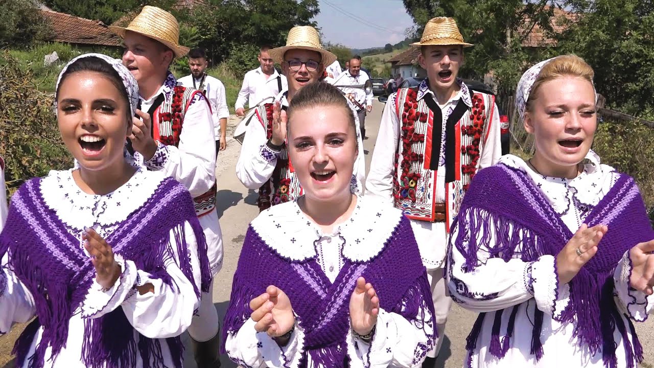 Nuntă cu picanterii la Bihor- Dansatoare pe sistem turbo- De la grajd la mireasă-Ceișoara-2023 🤠💣💃🎶🎻