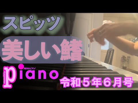 スピッツ「美しい鰭」:月刊ピアノ 6月号手本演奏