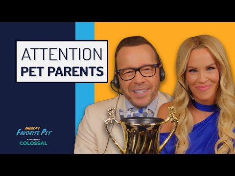 Donnie Wahlberg and Jenny McCarthy host America's Favorite Pet 2026 Donnie Wahlberg and Jenny McCarthy host America's Favorite Pet 2026