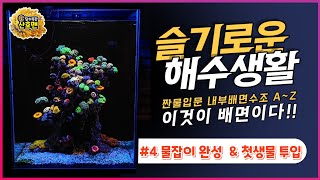 슬기로운 해수생활 #4 물잡이 완성했다 ! 그리고 첫 생물투입 !
