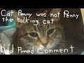 Rip cat penny 20122022 catpenny