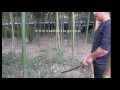 Katana sword cutting test02 from hanbonforge com