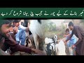 top viral video meethi kheer new funny video point pro