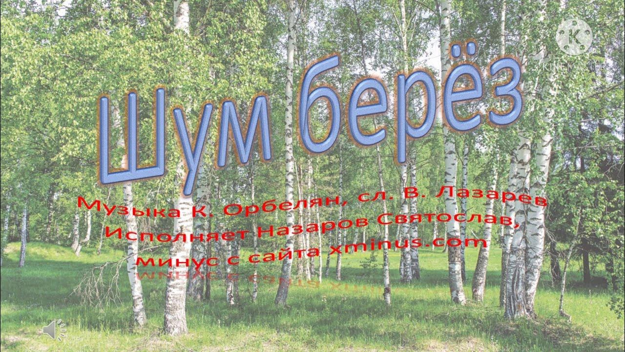 Песня березы шумят слушать