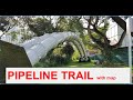 Pipeline Trail - part 1. Singapore Secret Hiking Trails Revealed