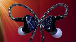 Cozoy Knows What They're Doing! | Cozoy D2 IEM Review