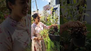 🥰 TUTY CUTE FAMILY💞 #cutecouple #thoothukudi  #trendingcouplestatus #trendingshorts #therespuram