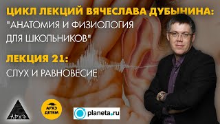 Вячеслав Дубынин: "Слух и равновесие" (Лекция 21)