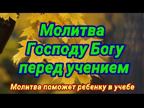 Молитва Господу Богу перед учением