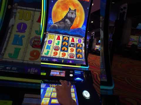 #mermaids and #fish at The Silverton Casino in #lasvegas