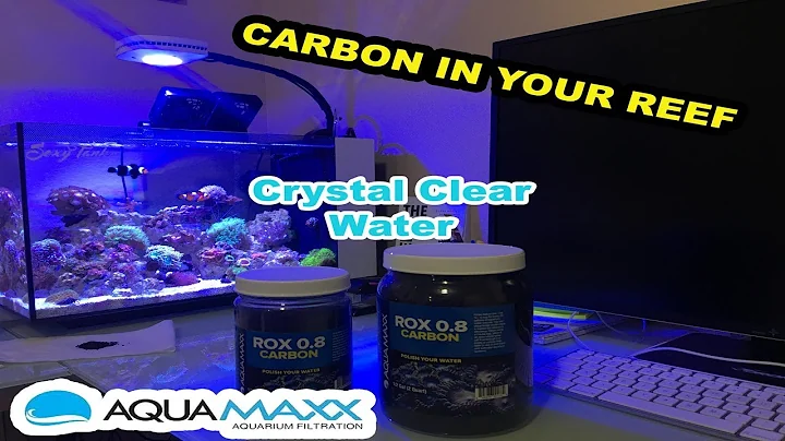 Carbon In Your Reef Tank