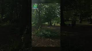 Took The Geprc Darkstar16 Out For A Rip In The Woods With Leds