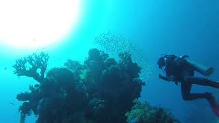 Start dive