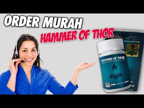 Agen Obat Kuat Dan Tahan Lama Asli Hammer Of Thor Makassar Dan Sekitarnya - WA 